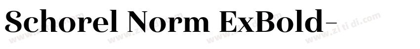 Schorel Norm ExBold字体转换